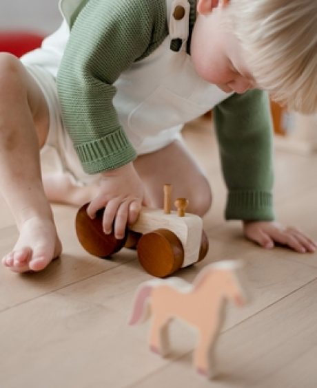QToys Australia (USA) Farm Animals & Tractor Set