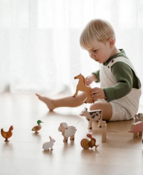 QToys Australia (USA) Farm Animals & Tractor Set