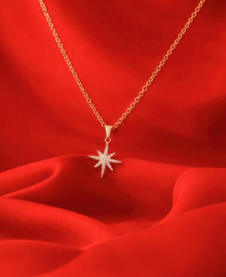 24 Karat Polaris Star Necklace
