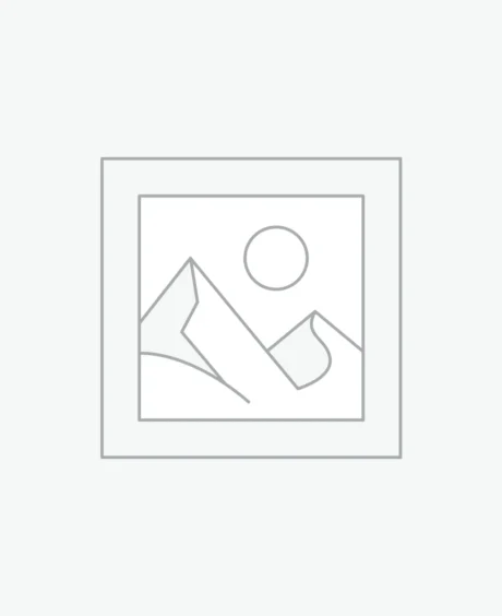 925 Sterling Silver Minimal Dragonfly Necklace with White Zircon Stone