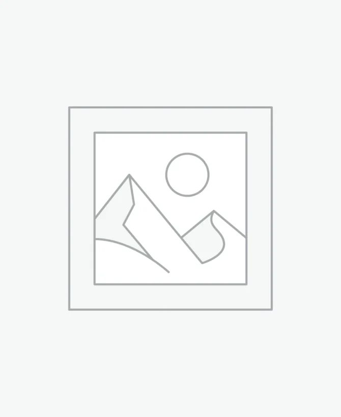 925 Sterling Silver Minimal Dragonfly Necklace with White Zircon Stone